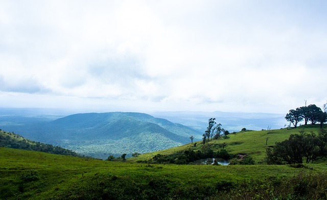 无形的推动 无形的推动