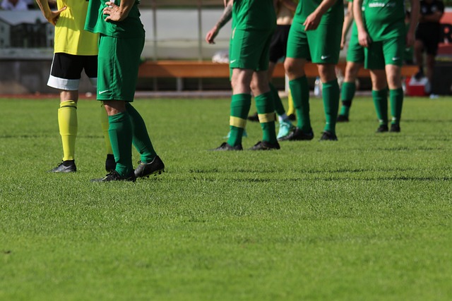 春运第26日 全社会跨区域人员流动量预计超2亿人次.