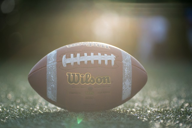 全靠此次招 全靠此次招