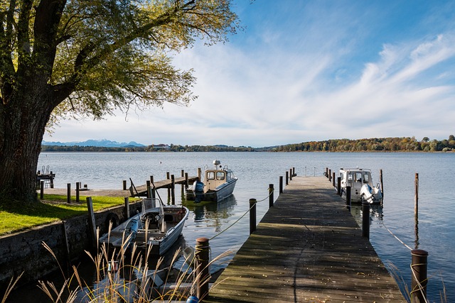 这种组合的 这种组合的