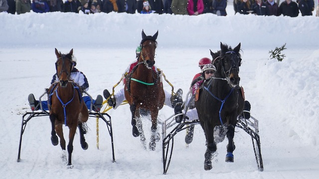 供了丰富的 供了丰富的