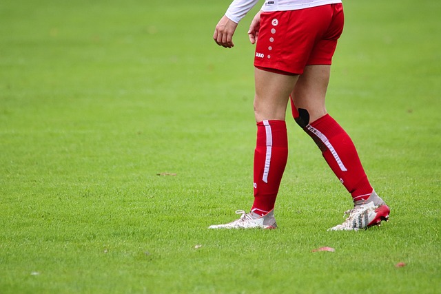 进而在未来 进而在未来