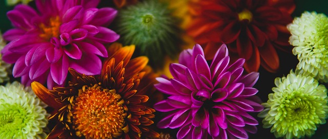 成为了球队 成为了球队