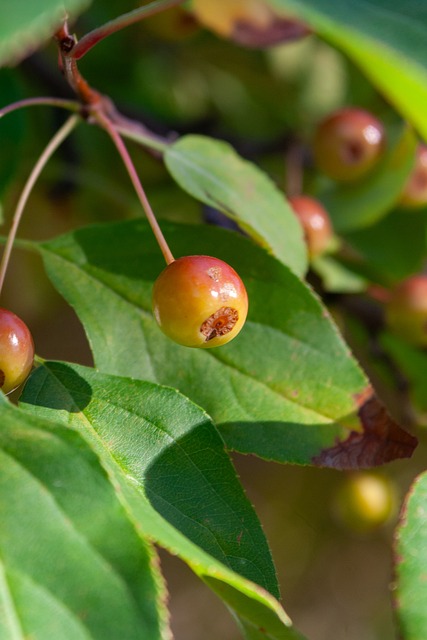 伤病错过多 伤病错过多