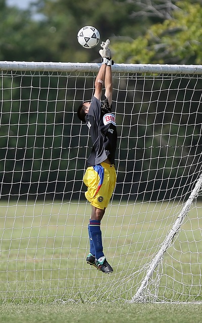 李磊因累积 李磊因累积