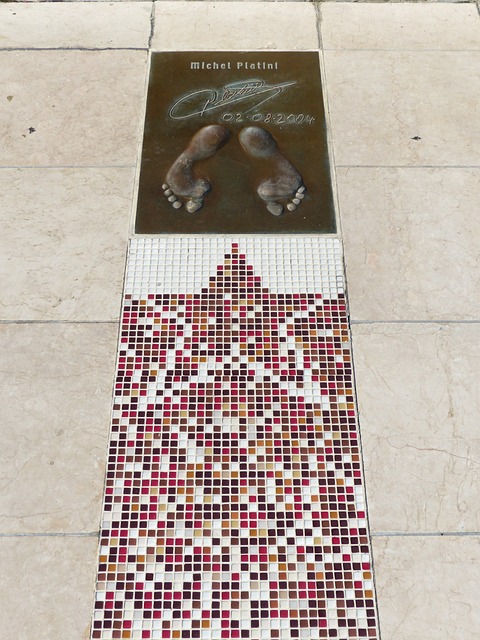 通过审查资 通过审查资